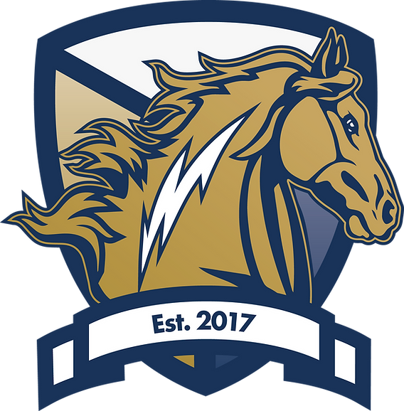 Davidson-Charter-Academy