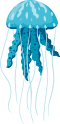 aacrao-2025-jellyfish