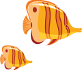 aacrao-2025-orange-fish